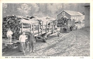 Geo I Treyz Wood Transportation - Cooks Falls, New York NY  