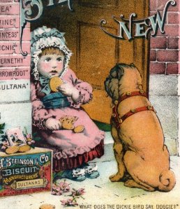 1880s H. Steinson & Co. Hard Sweet Biscuits Crackers Cute Dog & Baby P157
