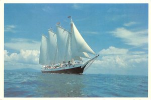 Victory Chimes Sail Boat Rockland, Maine, USA Unused 