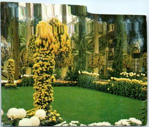 Chrysanthemum Display, Main Conservatory, Longwood Gardens - Kennett Square, PA