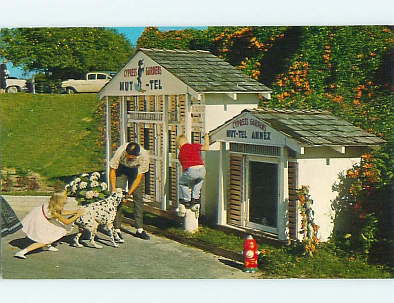 Unused 1950's MU-TEL THE DOG HOTEL AT CYPRESS GARDENS Winter Haven FL Q4931