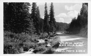 RPPC Spearfish Canyon Black Hills, South Dakota Bell Photo 1949 Vintage Postcard