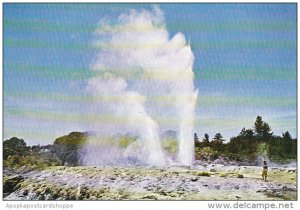 New Zealand Pohutu Geyser Whakarewarewa Rotorua