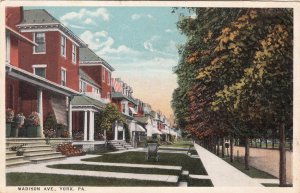 P1893 1920 postcard row of houses trees street etc madison ave york penn