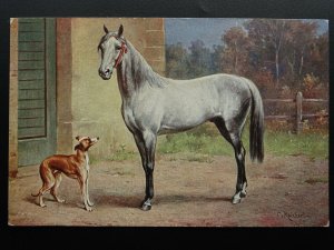 Horse & Dog Theme PORTRAIT of HORSE & DOG Artist Carl Reichert - Old Postcard