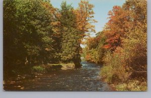 Autumn, Fall Colours, Creek Scene, Canada, Vintage Chrome Postcard