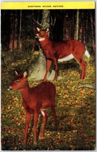 VINTAGE POSTCARD NORTHERN WOODS NATIVES DEER SCENE POSTED COPPER HARBOR MICHIGAN