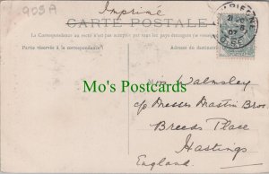 Genealogy Postcard -Walmsley - Mastin Bros, Breeds Place, Hastings, Sussex 905A