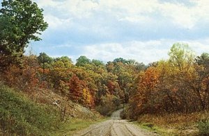 OH - Secluded Scene, Southeastern Ohio