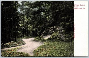 Postcard Sewickley Pennsylvania Water Works Park Trees Path 1910s View