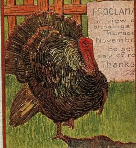 c1909 Thanksgiving Turkey Postcard Vtg Fence Farm Sign Proclamation Gold Trim 