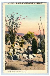 Vintage Near Palm Springs, California. Postcard P60E