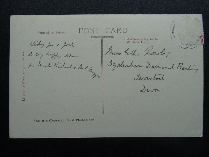 Portrait SMOOTH FOX TERRIER Dog Breed & PUPS c1914 RP Postcard by Lilywhite Ltd