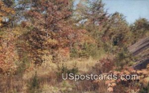 Section of the Wilderness Road - Cumberland Gap National Historical Park, Vir...