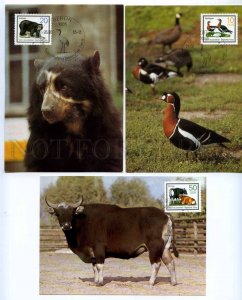 420725 EAST GERMANY GDR 1985 ANIMALS Crocodile Spectacled Bear set maximum cards