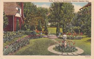 A Tulip Garden in the Residential District - Omaha NE Nebraska - pm 1942 - Linen