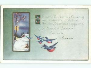 Divided-Back CHRISTMAS BIRDS SCENE Pretty Postcard W8514