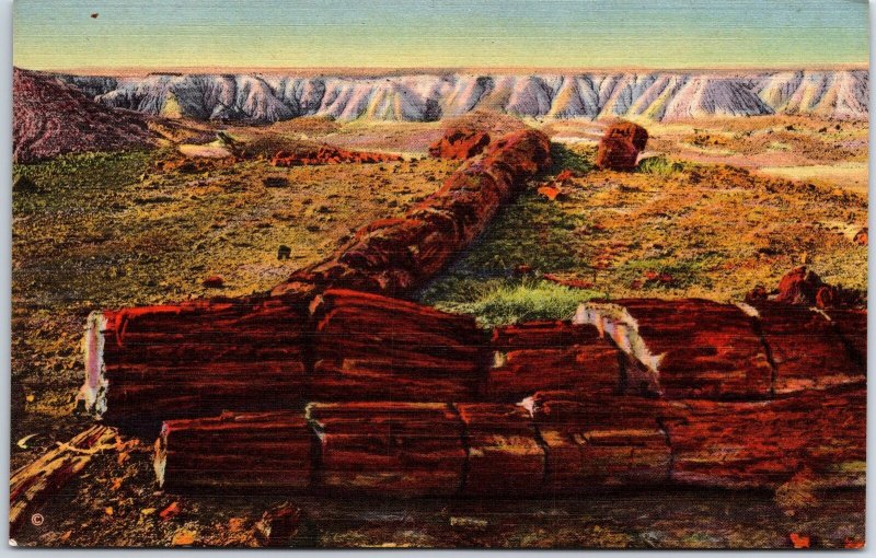 VINTAGE POSTCARD THE TWIN SISTERS OF THE PETRIFIED FOREST OF ARIZONA  c. 1940s