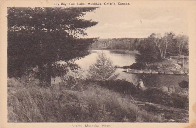 Canada Ontario Muskoka Lily Bay Gull Lake