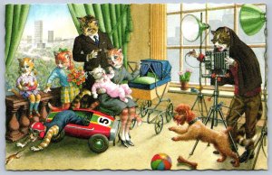 K48/ Mainzer Dressed Cat Cats Hartung c50s Postcard Comic L.I. Photo Studio 207