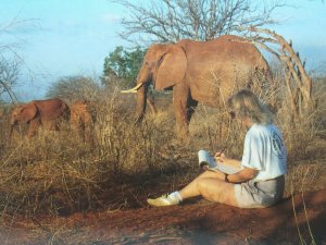 Barbara Mcknight at work in Tsavo National Park Kenya  Vintage Postcard