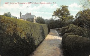 F87/ Aiken South Carolina Postcard c1910 Driveway At Vale of Mount Morenci