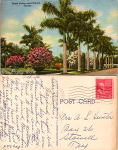 Royal Palms and Flowers, Florida (10489)