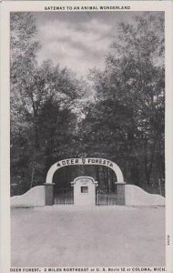 Michigan Coloma Gateway To An Animal Wonderland Deer Forest