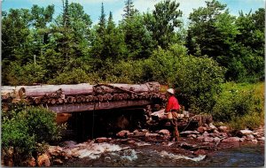 Brook Fishing Postcard VTG UNP Dexter Vintage Unused Chrome  