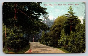 c1904 Drive Way at Pine Bank Park Malden Massachusetts ANTIQUE Postcard 1694