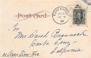 Felling Redwood Tree, Eureka, Humboldt Co., CA Logging 1905 Vintage Postcard 