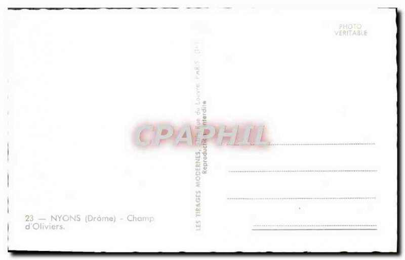 Postcard Modern Nyons Field & # 39Oliviers