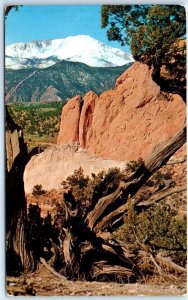 M-64171 Snow Covered Pikes Peak as seen through the Garden of the Gods Colorado