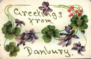 Vintage Postcard Greetings From Danbury Connecticut Flower Petals Design Card