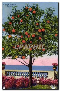 Old Postcard Cote D & # 39Azur Orange