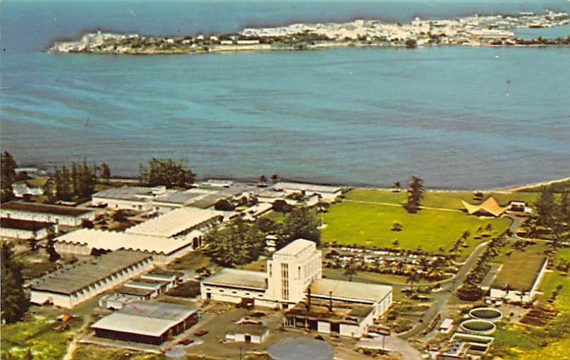 Bacardi Rum Distillery San Juan, Puerto Rico Unused 