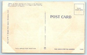 4 Postcards SACRAMENTO, California CA ~ McKINLEY PARK, WM. LAND PARK Views 1940s