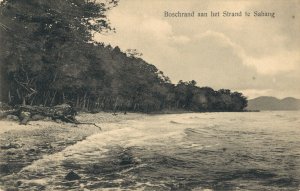 Indonesia Bos aan het Strand te Sabang 03.05