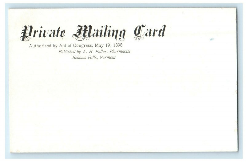 c1900s Saxtons River Bridge, Twin Falls and Swimming Hole VT PMC Postcard United States