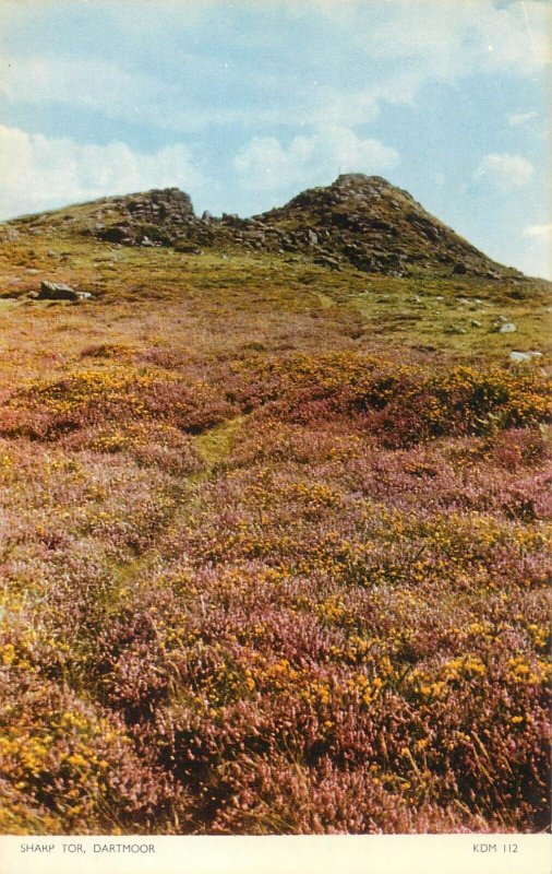 UK England Dartmoor Sharp Tor field peak