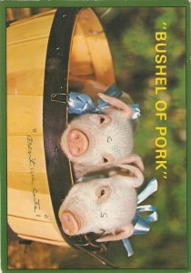 Pigs.  Modern American repro of old advertising of Bushel of Pork postcard