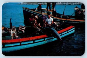 Wedgeport Nova Scotia Canada Postcard Boating A Bluefin Tuna c1950's Vintage