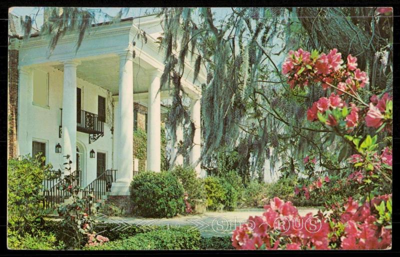 Boone Hall Plantation - Near Charlestone, S.C.