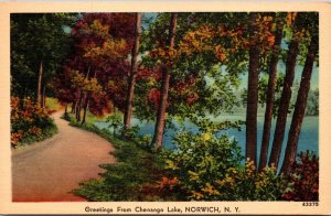 New York Norwich Greetings From Chenango Lake