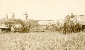 Postcard Real Photo View of Farm Harvesting in Midwestern, US.    L1