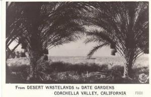 D7557 CA, Coachella Valley Photo Postcard