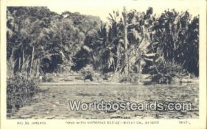 Rio De Janeiro Pond with Victorias Reglas Botanical Garden Brazil Postcard