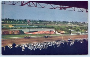 INGLEWOOD, CA California ~ Hollywood Park HORSE RACING TRACK c1940s Postcard