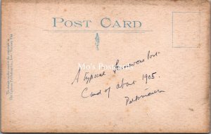 Comic Postcard - Cynicus, Four of My Greatest Admirers  SW17630