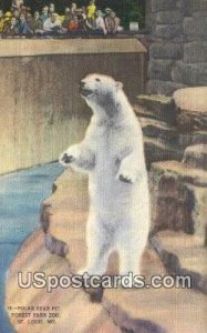 Polar Bear Pit, Forest Park Zoo - St. Louis, Missouri MO Postcard